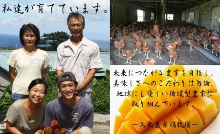 島の泡盛酒粕でじっくり健康的に育てた 久米島赤鶏1羽セット(解体) 2kg