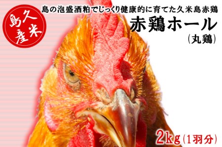 島の泡盛酒粕でじっくり健康的に育てた 久米島赤鶏ホール(丸鶏) 2kg(1羽分)