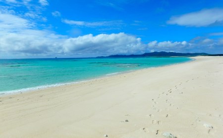 はての浜 オーハ島半日散策 1名様ご利用券 沖縄県久米島町 ふるさと納税サイト ふるなび