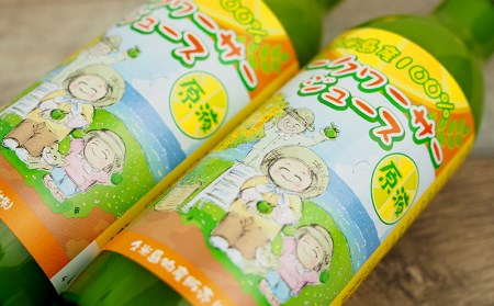 久米島産100%シークヮーサージュース(原液)24本セット