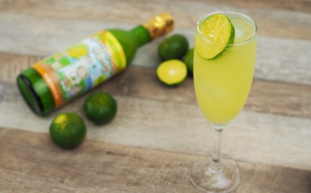 久米島産100%シークヮーサージュース(原液)24本セット