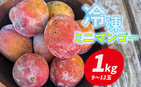 久米島赤鶏牧場 完熟！冷凍ミニマンゴー1kg（9～12玉） アーウィン アップルマンゴー ミニサイズ 小さい 完熟 アイス 濃厚 ねっとり 高糖度 まるごと 甘い 循環型農業 減農薬栽培 芳醇 爽やか 南国フルーツ 南の島 丸かじり スムージー パフェ
