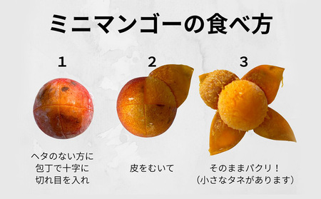 久米島赤鶏牧場 完熟！冷凍ミニマンゴー1kg（9～12玉） アーウィン アップルマンゴー ミニサイズ 小さい 完熟 アイス 濃厚 ねっとり 高糖度 まるごと 甘い 循環型農業 減農薬栽培 芳醇 爽やか 南国フルーツ 南の島 丸かじり スムージー パフェ
