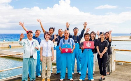 久米総合開発 訳あり 活〆急速冷凍車海老500g 小 500g 超特大 沖縄県久米島町 ふるさと納税サイト ふるなび