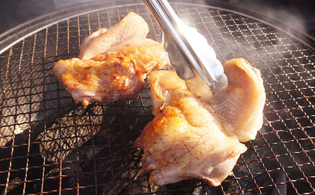 【ガーリックチキンセット】久米島産赤鶏モモ肉＆ガーリックオリーブオイル