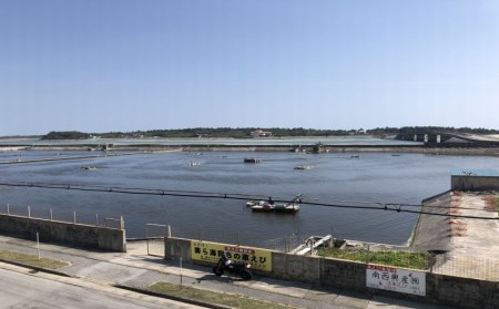 【南西興産】久米島の生産者から直送！活〆冷凍有頭車海老1kg：500g(20-25尾 4～5人前)×2パック