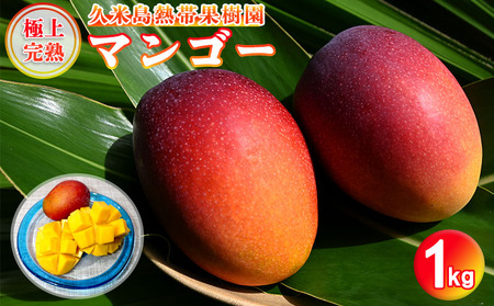 【2024年発送】久米島熱帯果樹園 極上完熟マンゴー1kg（2～3玉）