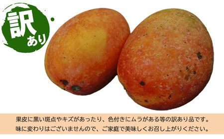 訳あり品【2026年発送】久米島熱帯果樹園 完熟マンゴー約2kg（3～6玉） アーウィン アップルマンゴー トロピカル フルーツ 訳あり 果物 南国 沖縄 久米島 ふるさと納税 農園直送 甘い ジューシー 濃厚 完熟 糖度が高い とろける ジュース スムージー B品