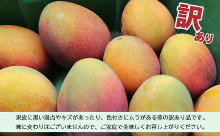 訳あり品【2024年発送】久米島熱帯果樹園 完熟マンゴー約2kg（3～5玉）