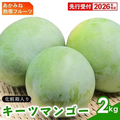 【化粧箱入】【先行受付・2026年発送】あかみね熱帯フルーツのキーツマンゴー約2kg - 先行予約 沖縄県産 産地直送 南国フルーツ 旬の味覚 季節の果物 希少種 化粧箱 ギフト 沖縄県 八重瀬町
