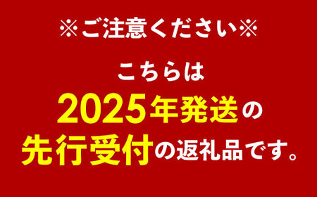 【先行受付】【2025年発送】南の果実園 アップルマンゴー 訳あり品1.5kg（3～6玉）