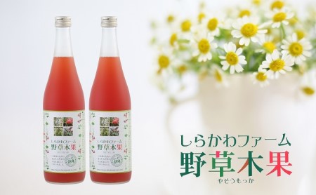 無添加酵素ドリンク「野草木果 2本」