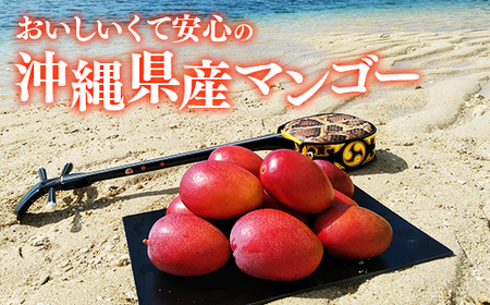 【先行受付】【2026年発送】伊集農園 沖縄県産マンゴー ご家庭用 約2kg - 先行予約 沖縄 産地直送 南国フルーツ 旬の味覚 家庭用 2キロ オススメ 沖縄県 八重瀬町