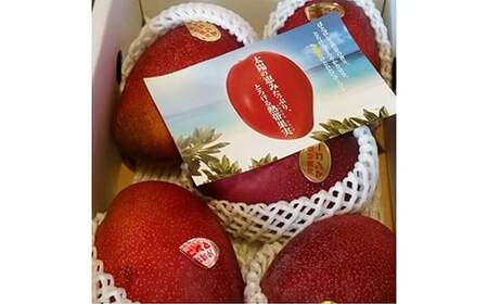 【先行受付】【2026年発送】伊集農園 沖縄県産マンゴー ご家庭用 約2kg - 先行予約 沖縄 産地直送 南国フルーツ 旬の味覚 家庭用 2キロ オススメ 沖縄県 八重瀬町