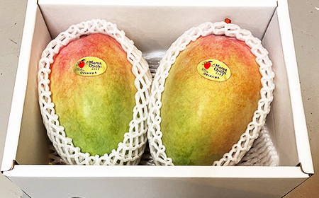 【先行受付】【2026年発送】ママチチマンゴーファームのキーツマンゴー約2kg - 先行予約 沖縄 産地直送 南国フルーツ 旬の味覚 沖縄県産 国産マンゴー 希少種 季節の果物 沖縄県 八重瀬町