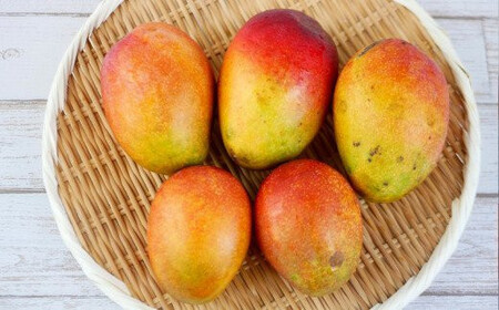 【先行受付】【2026年発送】ヤマト農園 アップルマンゴー訳あり約2kg（4～6玉）- 先行予約 沖縄県産 産地直送 南国フルーツ 旬の味覚 季節の果物 ご自宅用 訳アリ 沖縄マンゴー 沖縄県 八重瀬町