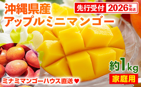 【先行受付】【2026年発送】ミナミマンゴーハウスのアップル ミニマンゴー約1kg【家庭用】- 先行予約 沖縄県産 産地直送 南国フルーツ 旬の味覚 アップルマンゴー ご自宅用 オススメ 沖縄県 八重瀬町