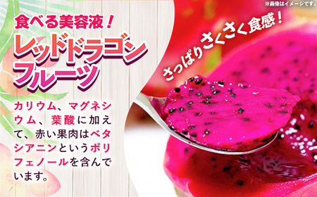 【2026年発送】南国フーズのドラゴンフルーツ 【レッドドラゴンフルーツ】 約2kg - 赤 果肉 レッド ピタヤ スーパーフルーツ 先行受付 先行予約 人気 抗酸化作用 ベタシアニン おすすめ 国産 沖縄県 八重瀬町