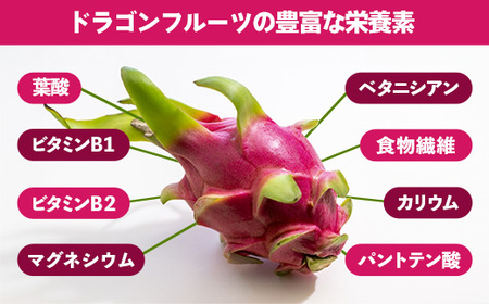 【2026年発送】南国フーズのドラゴンフルーツ 【レッドドラゴンフルーツ】 約2kg - 赤 果肉 レッド ピタヤ スーパーフルーツ 先行受付 先行予約 人気 抗酸化作用 ベタシアニン おすすめ 国産 沖縄県 八重瀬町