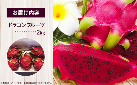 【2026年発送】南国フーズのドラゴンフルーツ 【レッドドラゴンフルーツ】 約2kg - 赤 果肉 レッド ピタヤ スーパーフルーツ 先行受付 先行予約 人気 抗酸化作用 ベタシアニン おすすめ 国産 沖縄県 八重瀬町