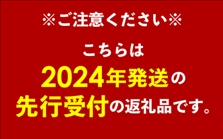 【先行受付】【2024年発送】神谷ファームのマンゴー（秀）約1Kg
