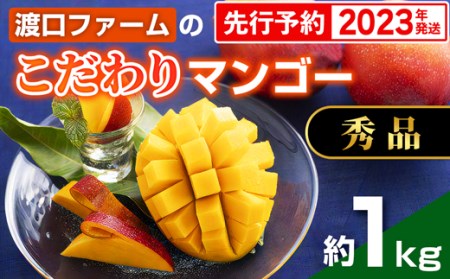 【2022年発送】渡口ファームのこだわりマンゴー約1kg〈秀品〉