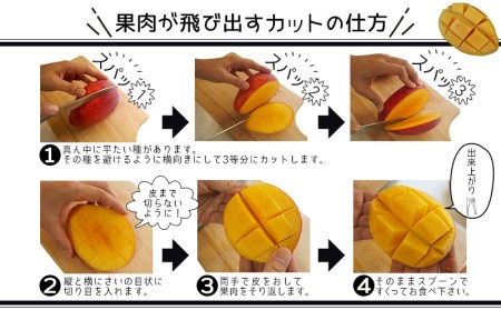 【先行受付】【2026年発送】生産組合が育てる厳選・完熟マンゴー約1kg - 先行予約 沖縄県産 産地直送 南国フルーツ アップルマンゴー 旬の味覚 季節の果物 贈り物 沖縄県 八重瀬町