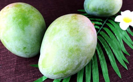 【先行受付】【2026年発送】ヤマト農園 キーツマンゴー約1kg - 産地直送 沖縄産 国産 果物 フルーツ 南国フルーツ 旬の味覚 追熟 先行予約 幻の味 人気 おすすめ 送料無料 沖縄県 八重瀬町