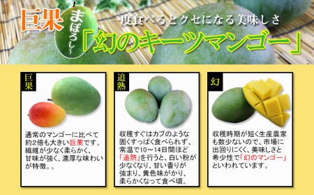 【先行受付】【2026年発送】ヤマト農園 キーツマンゴー約1kg - 産地直送 沖縄産 国産 果物 フルーツ 南国フルーツ 旬の味覚 追熟 先行予約 幻の味 人気 おすすめ 送料無料 沖縄県 八重瀬町