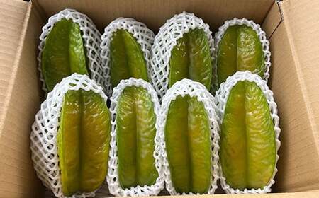 沖縄県産 スターフルーツ約2kg(6～12玉) - 果物 フルーツ 南国 スター