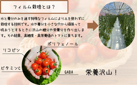 鶴居村 ふるさと納税】北海道 鶴居村　つるいトマト 1ｋｇ 工務店が作った 高糖度 8.5以上!【１２月中旬以降順次発送】 ( フルーツ のような 甘さ ミニトマト フィルム栽培　甘い フルーティー とまと TOMATO)