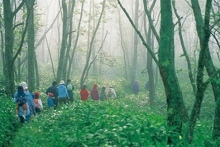 鶴居村モール温泉HOTEL TAITO宿泊券「1泊2食付　釧路湿原国立公園秘境ガイドプラン(2名様)」