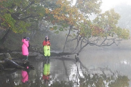 鶴居村モール温泉HOTEL TAITO宿泊券「1泊2食付　釧路湿原国立公園秘境ガイドプラン(2名様)」