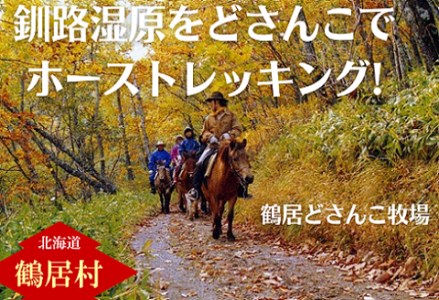 鶴居村 鶴居どさんこ牧場ホーストレッキング　半日コース(1名様)（トレッキング 馬 ウマ うま どさんこ 釧路の隣 釧路空港 から近い 北海道 観光 トラベル ホテル 旅行 宿泊 アクティビティ ふるさと納税 ふるなび  ）