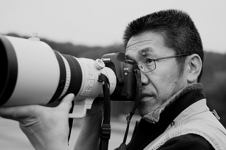 鶴居村 タンチョウ写真家 和田正宏 額付きオリジナルプリント「霧染まる」(サイン入り)