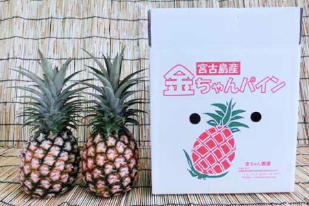 ★2022年4月より発送開始★宮古島産ピーチパイン 2個セット