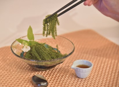 海ぶどう タレ付 60g 9パック 沖縄県多良間村 ふるさと納税サイト ふるなび