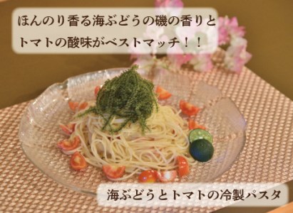 海ぶどう タレ付 60g 9パック 沖縄県多良間村 ふるさと納税サイト ふるなび