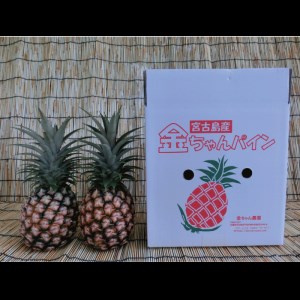 ★2023年1月より発送開始★宮古島産ピーチパイン(1.5kg)