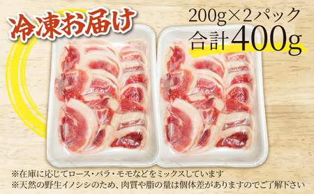 ジビエ イノシシ 肉 西表島産 スライス 200g×2パック