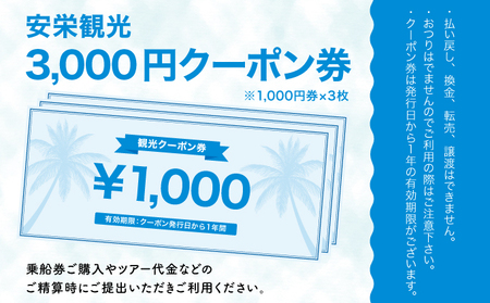 安栄観光 3,000円クーポン券