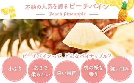 2026年 先行予約 ピーチパイン 約3kg 4~5玉 甘熟 西表島ふる~つらんど 不動の人気No.1 果物 フルーツ パイン