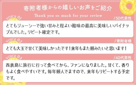 2026年 先行予約 ピーチパイン 約3kg 4~5玉 甘熟 西表島ふる~つらんど 不動の人気No.1 果物 フルーツ パイン