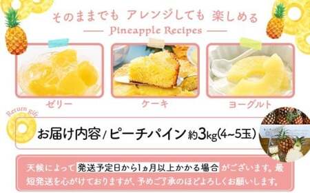 2026年 先行予約 ピーチパイン 約3kg 4~5玉 甘熟 西表島ふる~つらんど 不動の人気No.1 果物 フルーツ パイン