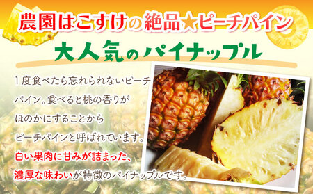 濃香ピーチパイン 約3kg 【E】★絶品★　2026年 先行予約 栽培期間中 農薬不使用 西表島 濃香 初エコファーマー認定【036-a002_2026】