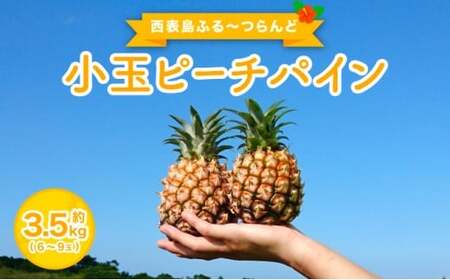 2026年 先行予約 小玉 ピーチパイン 約3.5kg 6~9玉 ★西表島ふる~つらんど★美味しさギュッと! 果物 フルーツ パイン 026-a003_2026