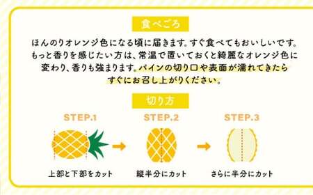 2026年 先行予約 小玉 ピーチパイン 約3.5kg 6~9玉 ★西表島ふる~つらんど★美味しさギュッと! 果物 フルーツ パイン 026-a003_2026