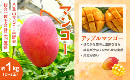 セット パイン 約1.5kg マンゴー 約1kg 