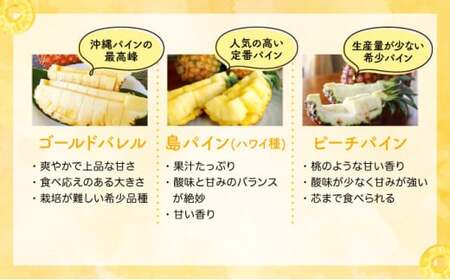 セット パイン 約1.5kg マンゴー 約1kg 