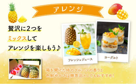 セット パイン 約1.5kg マンゴー 約1kg 